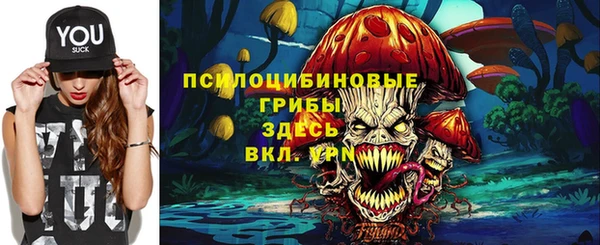 PSILOCYBIN Абаза