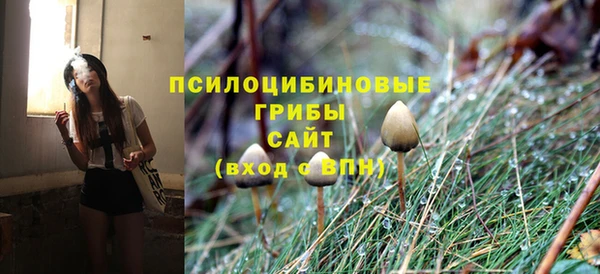 PSILOCYBIN Абаза