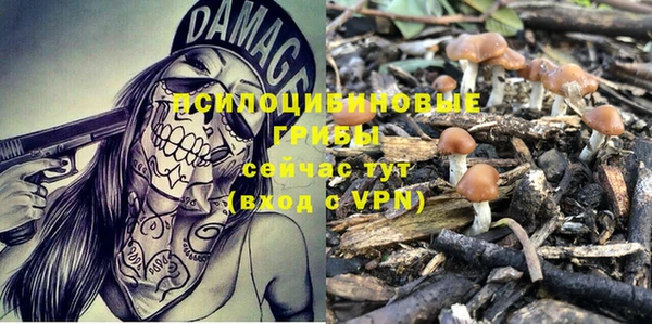 apvp Абинск