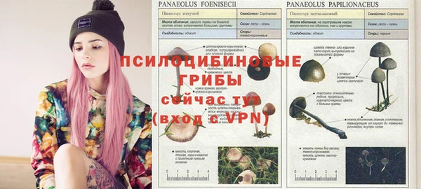 винт Алексеевка