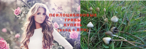 PSILOCYBIN Абаза