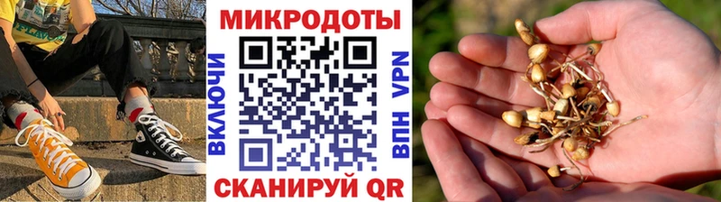 Галлюциногенные грибы MAGIC MUSHROOMS Дзержинск
